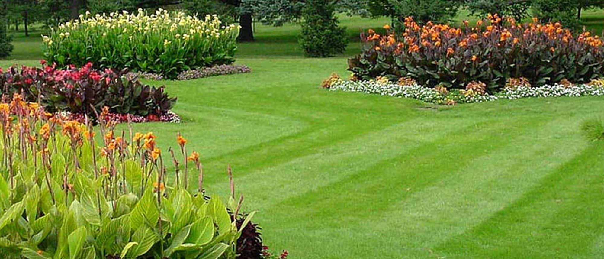 lawn-maintenance-roma-landscape-design